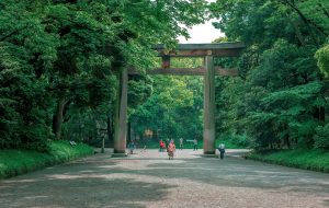 “Meiji Shrine,” by Israel González., CC BY-NC-ND 2.0.