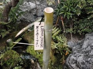 Figure 1: The bamboo protruding from the suikinkutsu below the ground, inviting the visitor to listen. At Taizōin temple in Kyoto, Japan. Photo by the author.
